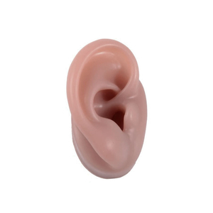 Right EAR - piercing mannequin